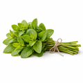 Menthe (botte)