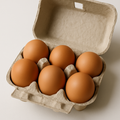 Oeufs bio